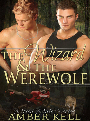 cover image of The Wizard and the Werewolf